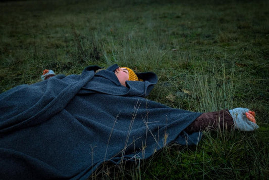 A Winter Update [Newsletter]