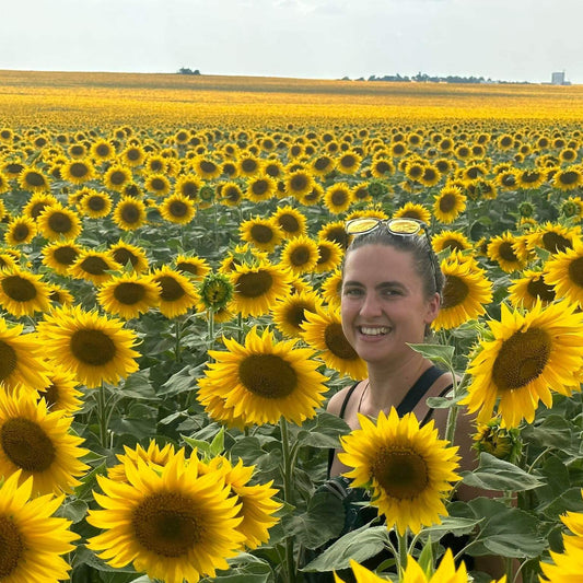 Updates [Newsletter]