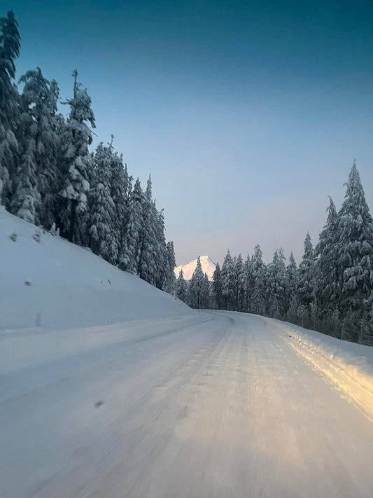 Updates [Newsletter]