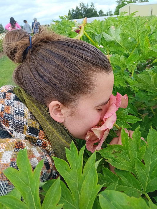 Updates [Newsletter]