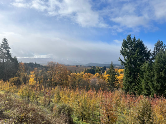 Days darker, nights long [Newsletter]