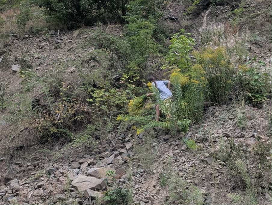 Greeting another year - Late summer lazy river stitching [Newsletter]