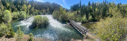 Springing and sprunging -  What I do while the trees unfurl their blooms [Newsletter]